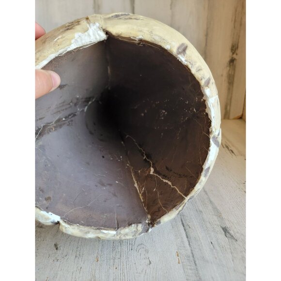 Skull large foam AS IS head Halloween prop home decor bowl unique - Picture 14 of 15